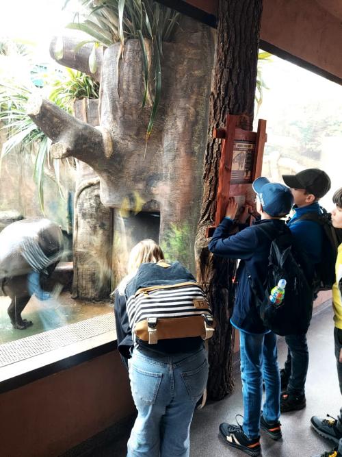 Den Země - exkurze do zoo Dvora Králové 