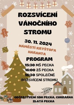 Rozsvěcení vánočního stromu 1